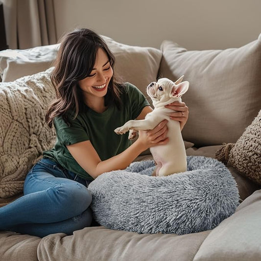 Indoor cat and dog beds