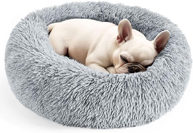 Indoor cat and dog beds