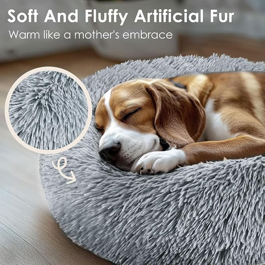 Indoor cat and dog beds